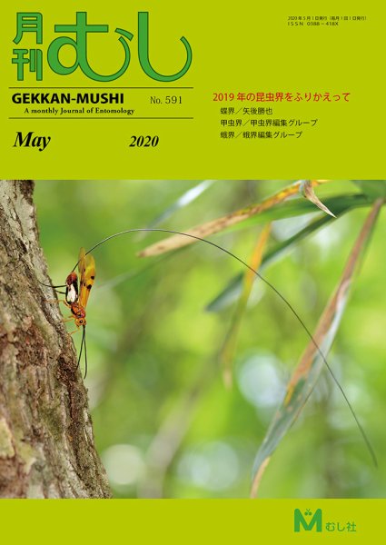 月刊むし 591 (発売日2020年04月20日) 表紙