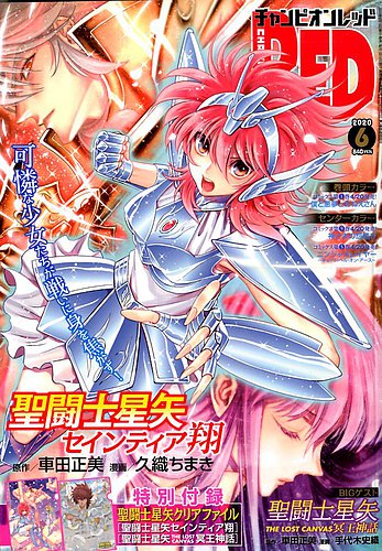 付録有☆ チャンピオンRED ☆2020年 6月号 ☆ 聖闘士星矢 LOST CANVAS セインティア翔 クリアファイル -  pictureitsolved.com