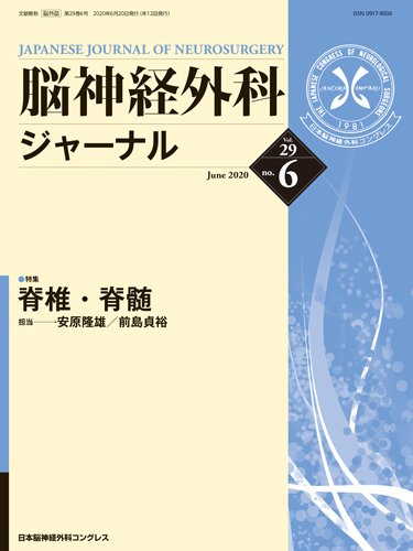 脳神経外科ジャーナル 29巻6号 (発売日2020年05月25日) 表紙