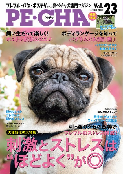PE・CHA vol.23 (発売日2020年11月13日) 表紙