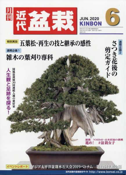 月刊 近代盆栽 2020年6月号 (発売日2020年05月02日) 表紙
