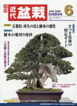 月刊 近代盆栽 2020年6月号 (発売日2020年05月02日) 表紙
