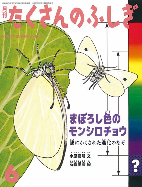 たくさんのふしぎ 2020年6月号 (発売日2020年05月02日) 表紙