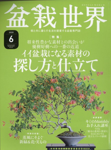 盆栽世界 2020年6月号 (発売日2020年05月02日) 表紙