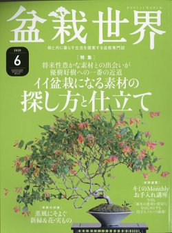 盆栽世界 2020年6月号 (発売日2020年05月02日) 表紙