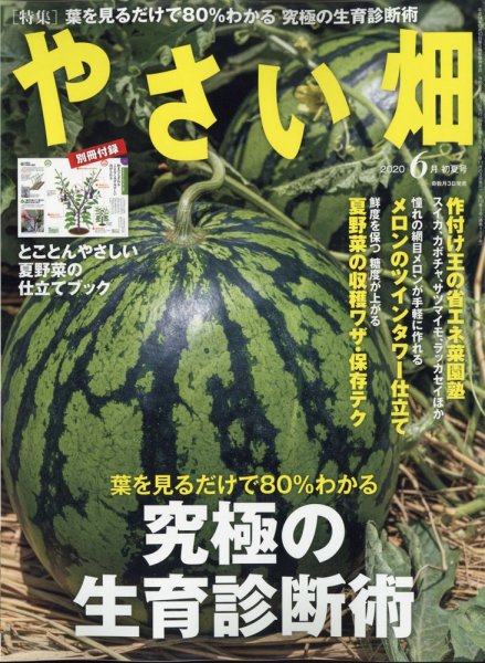やさい畑 2020年6月号 (発売日2020年05月02日) 表紙