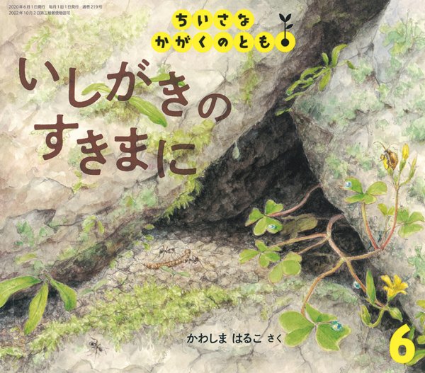 ちいさなかがくのとも 2020年6月号 (発売日2020年05月02日) 表紙