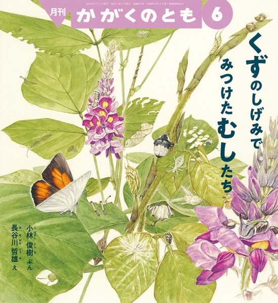 かがくのとも 2020年6月号 (発売日2020年05月02日) 表紙
