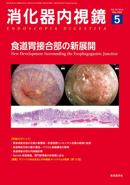 消化器内視鏡 20年5月号 (発売日2020年05月25日) 表紙