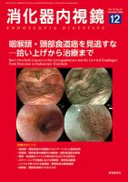 消化器内視鏡 20年12月号 (発売日2020年12月25日) 表紙