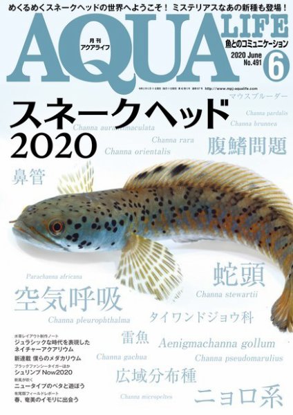 アクアライフ 6月号 (発売日2020年05月11日) 表紙