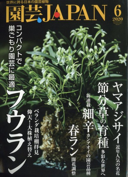 園芸Japan 2020年6月号 (発売日2020年05月12日) 表紙