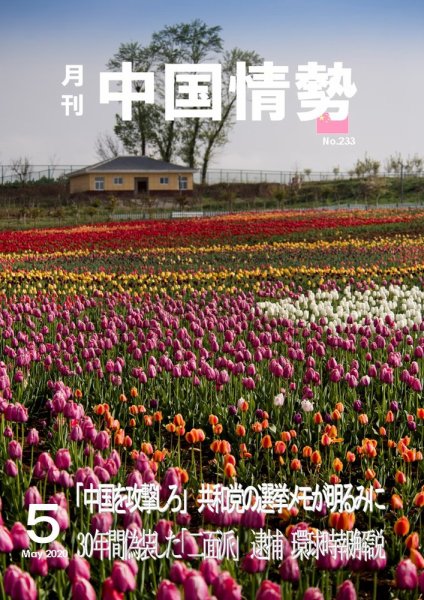 月刊中国情勢 No.233 (発売日2020年05月10日) 表紙
