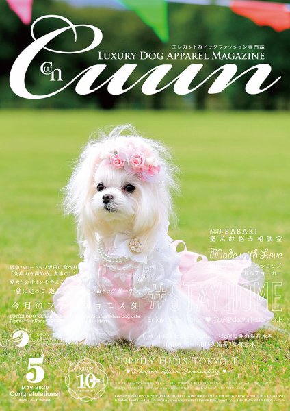 Cuun（クーン） 2020年5月号 (発売日2020年05月10日) 表紙