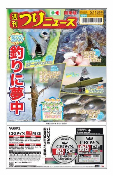 週刊つりニュース　関東版 2020年5月15日号 (発売日2020年05月11日) 表紙