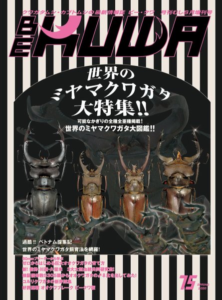 BE-KUWA（ビークワ） 75 (発売日2020年04月18日) 表紙