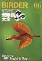 BIRDER（バーダー） 2020年6月号 表紙