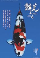鱗光 2020年05月15日発売号 表紙