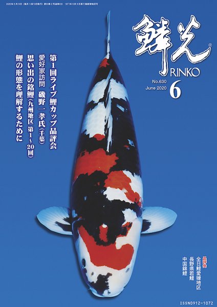 鱗光 2020年05月15日発売号 表紙