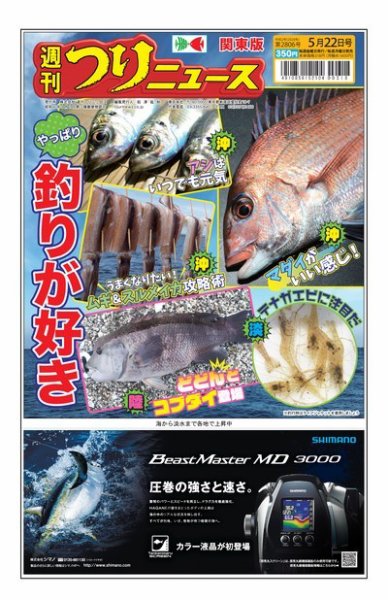 週刊つりニュース　関東版 2020年5月22日号 (発売日2020年05月18日) 表紙