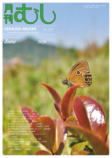 月刊むし 592 (発売日2020年05月23日) 表紙