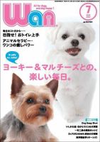 wan（わん） 2008年7月号 (発売日2008年06月13日) 表紙