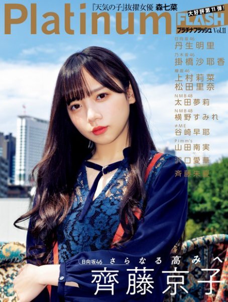 Platinum FLASH（プラチナフラッシュ） Vol.11 (発売日2019年12月05日) 表紙