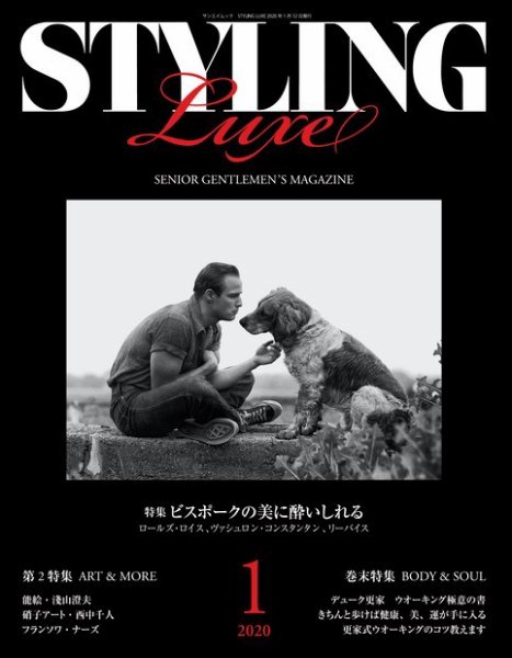 三栄ムック STYLING LUXE (発売日2019年12月05日) 表紙