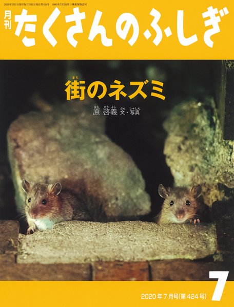たくさんのふしぎ 2020年7月号 (発売日2020年06月03日) 表紙