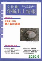 文化財発掘出土情報 469号  表紙