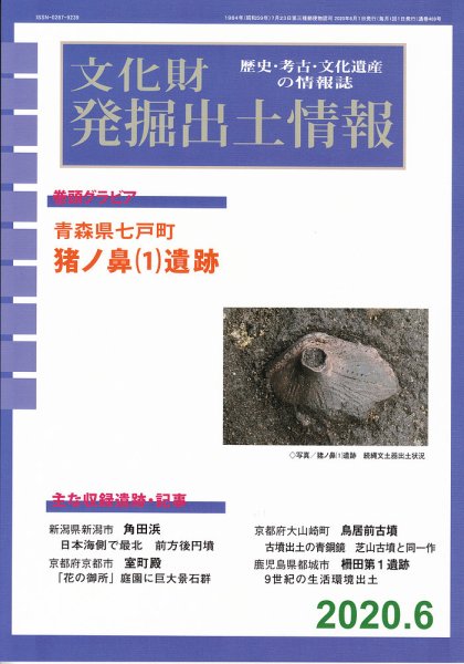 文化財発掘出土情報 469号  (発売日2020年06月01日) 表紙