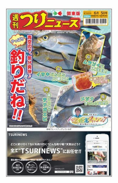 週刊つりニュース　関東版 2020年6月5日号 (発売日2020年06月01日) 表紙