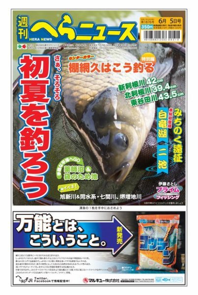 週刊へらニュース 2020年6月5日号 (発売日2020年06月01日) 表紙