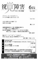 【点字版】視覚障害――その研究と情報 No.385 表紙