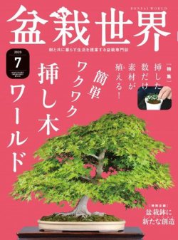 雑誌/定期購読の予約はFujisan 雑誌内検索：【松泉】 が盆栽世界の2020年06月04日発売号で見つかりました！