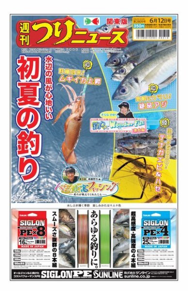 週刊つりニュース　関東版 2020年6月12日号 (発売日2020年06月08日) 表紙