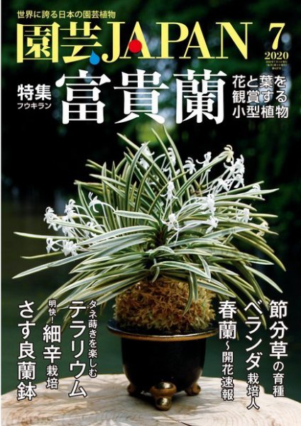 園芸Japan 2020年7月号 (発売日2020年06月12日) 表紙