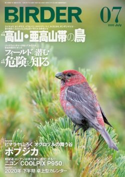 BIRDER（バーダー） 2020年7月号 (発売日2020年06月16日) 表紙