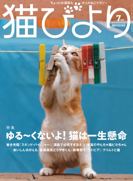 猫びより 猫びより vol.112 (発売日2020年06月12日) 表紙