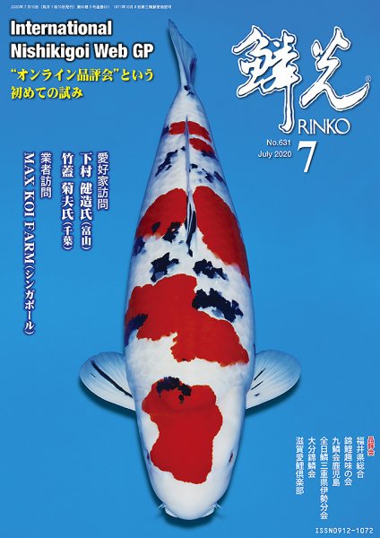 鱗光 2020年06月15日発売号 表紙