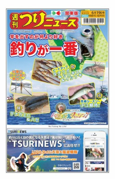 週刊つりニュース　関東版 2020年6月19日号 (発売日2020年06月15日) 表紙
