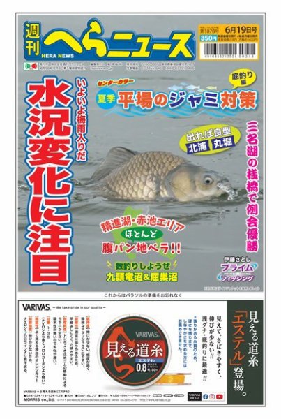 週刊へらニュース 2020年6月19日号 (発売日2020年06月15日) 表紙