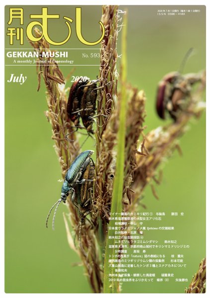 月刊むし 593 (発売日2020年06月20日) 表紙