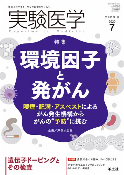 実験医学 Vol.38No.11 (発売日2020年06月20日) 表紙