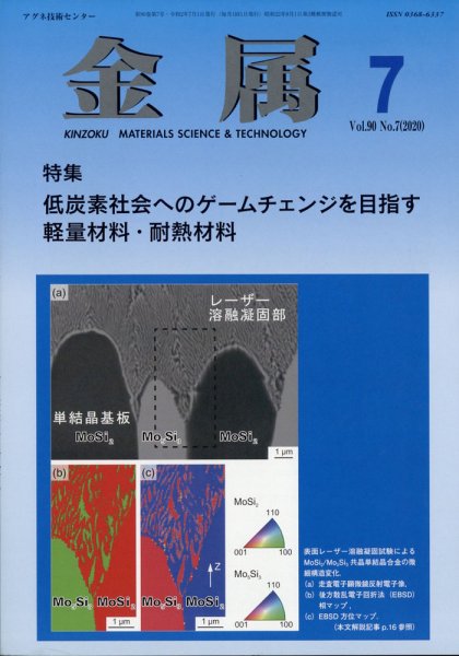 金属 2020年7月号 (発売日2020年06月30日) 表紙