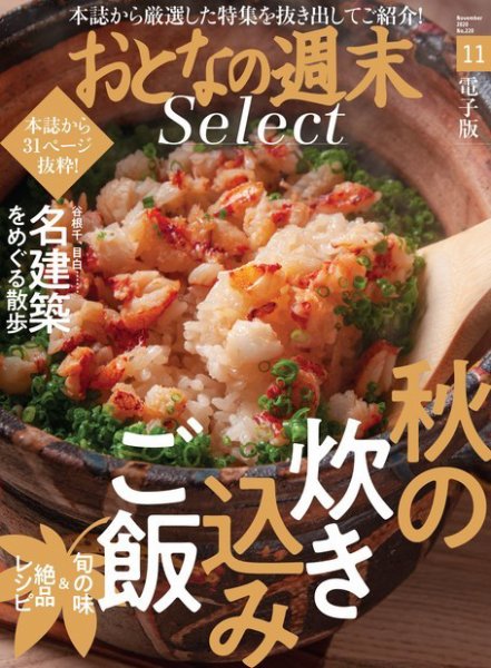 おとなの週末セレクト 「炊き込みご飯＆名建築を巡るさんぽ」〈２０２０年１１月号〉 (発売日2020年11月14日) 表紙