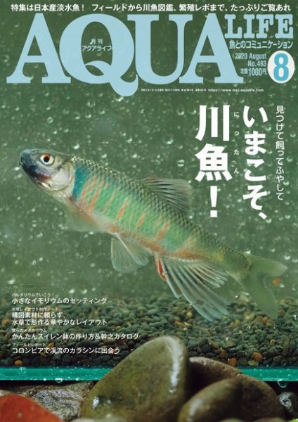 アクアライフ 8月号 (発売日2020年07月10日) 表紙