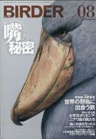 BIRDER（バーダー） 2020年8月号 表紙
