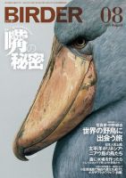 BIRDER バーダー（月刊日本の生物）　　　　　　　　441冊 37年分 BIRDER（バーダー） 2023年11月号 (発売日2023年10月16日) | 雑誌/電子