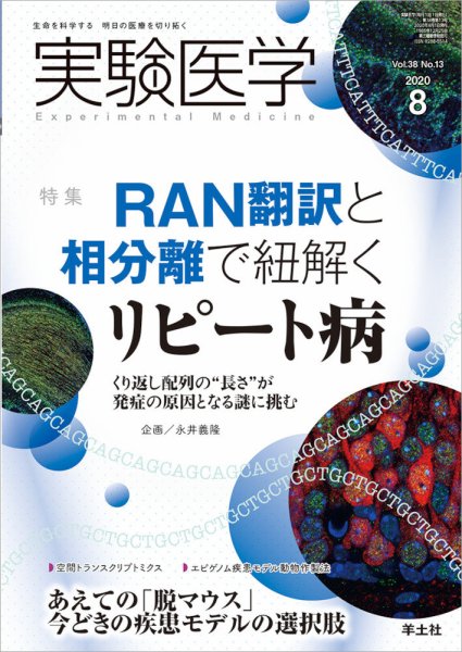実験医学 Vol.38No.13 (発売日2020年07月20日) 表紙